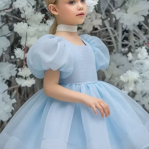 Vestido celeste manga abullonada
